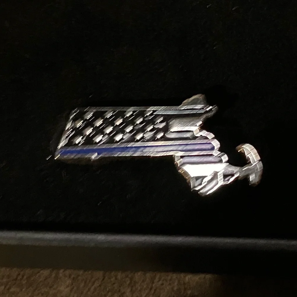 Silver and Blue State-Shaped Lapel Pin